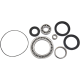 Bearing/Seal Kit BEARINGRR DIFFRNTL-YAM