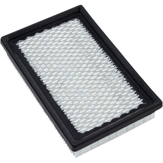Air Filters Big Bike AIR FILTER CAN AM RS/GS