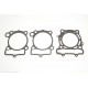 Renn-Dichtungssatz GASKET KIT RACE KAW/SUZ