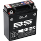 SLA Factory-Activated AGM Maintenance-Free Batteries BATTERY BS 6N11A-4A