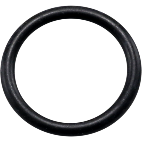 O-Ring Ablassschraube O-RING DRAIN PLUG