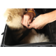 Route 1 Rover Pet Carrier PET CARRIER ROUTE 1 ROVER Route 1 Rover Pet Carrier PET CARRIER ROUTE 1 ROVER
