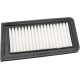 Ersatz-Luftfilter AIR FILTER AN650 BURGMAN