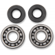 Hauptkurbelwellenlager- und Dichtungssatz BEARINGS CRANK KX60-85