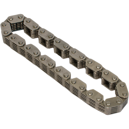 Cam Chain CHAIN SILENT INN 25607-99