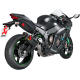 Racing-Line-Auspuffanlage EXHAUST RAC SS/CF ZX10R 16