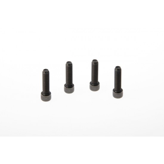 Lenkerklemmenschraube TRIPLE CLAMP SCREWS XL