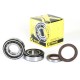 Kurbelwellenlager und -dichtungssätze CRANK BEARING  SEAL KIT