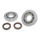 Crankshaft Bearing Set FKM for Gilera Runner, Piaggio Hexagon, Italjet Dragster 125, 180cc CRANKSHAFT