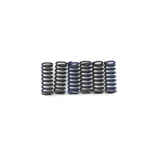 Kupplungsfedersatz CLUTCH SPRING KIT YFM660