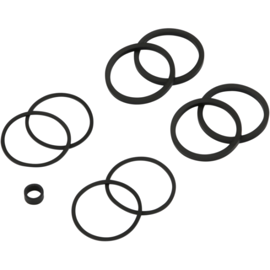 Caliper Seal Kit SEALS CLPR 08-14 SFTL F/R