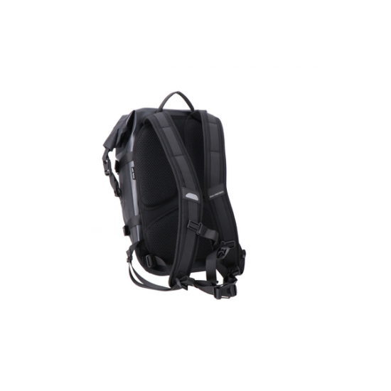 Daily WP Backpack BACKPACK DAILY WP