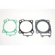 Renn-Dichtungssatz GASKET KIT RACE CRF450R