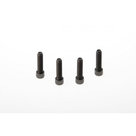 Lenkerklemmenschraube TRIPLE CLAMP SCREWS XL