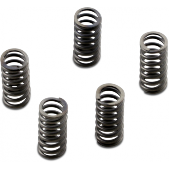 CSK Series Heavy Duty Clutch Spring Kit CLUTCH SPRING SET CSK