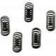 CSK Series Heavy Duty Kupplungsfeder-Satz CLUTCH SPRING SET CSK