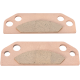 Gesinterte XCR Bremsbeläge BRAKE PAD PARKING BRK POL