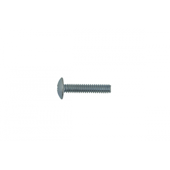 Screw SPRAY 1'' MACHINE SCREW