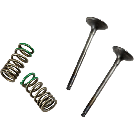 Valve and Spring Kit VALVE EX/SPRING KIT YZ/WR250F