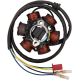 OEM Style Stator STATOR CAN-AM