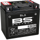 SLA werksseitig aktivierte wartungsfreie AGM-Batterien BATTERY BS 53030 SLA