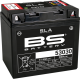 SLA Factory-Activated AGM Maintenance-Free Batteries BATTERY BS 53030 SLA