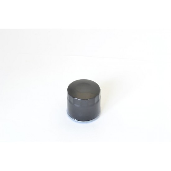 Oil Filter OIL FILTER SUZ/CAG