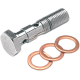 Banjo Bolt 600 Series DBL BOLT 3/8X24 LONG CHR