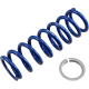 Front/Rear Shock Springs RT SHOCK SPRING 5.0KG/MM