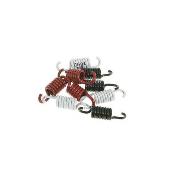 Clutch Spring Set CLUTCH SPRING KIT SPORT