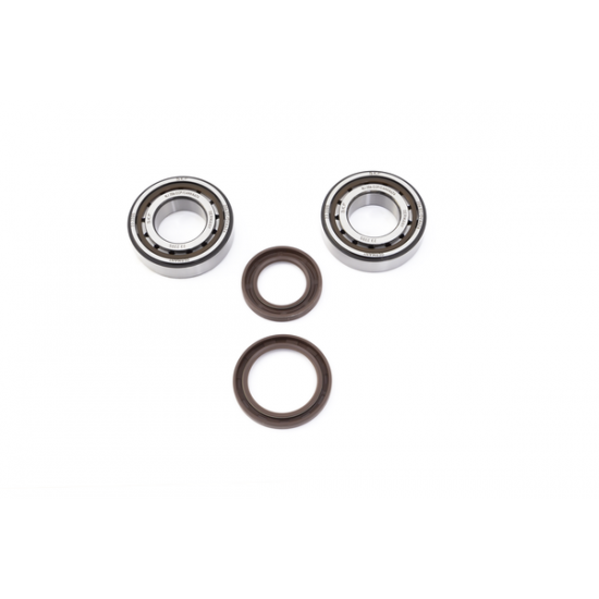 Kurbelwellenlager und -dichtungssätze CRANK BEARING SEAL KIT