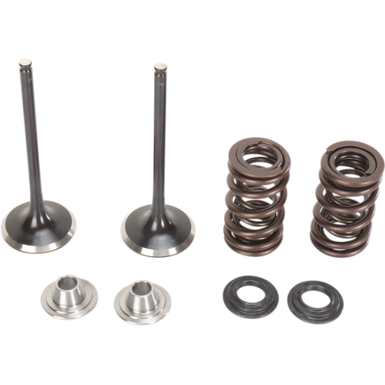 Edelstahl-Einlassventil und Federsat VALVE KIT IN MSE KX250F Edelstahl-Einlassventil und Federsat VALVE KIT IN MSE KX250F