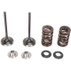 Edelstahl-Einlassventil und Federsat VALVE KIT IN MSE KX250F Edelstahl-Einlassventil und Federsat VALVE KIT IN MSE KX250F