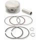 Piston Kit for 4-Stroke PISTON KT YFM660R RAP/GRIZ/RHI