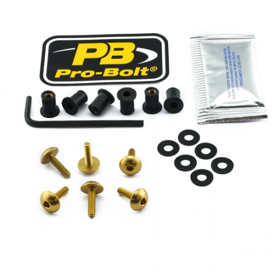 Screen Bolt Aluminium SCR KIT SCREEN 6 GD