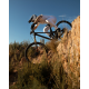 MTB Tire Wild Enduro Racing Line W-END RACING 29X2.40 RR MTB Tire Wild Enduro Racing Line W-END RACING 29X2.40 RR
