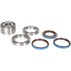 Lager-/Dichtungssatz DIFFERENTIAL REAR BEARING Lager-/Dichtungssatz DIFFERENTIAL REAR BEARING