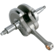Crankshaft Assembly CRANKSHAFT RPTR700
