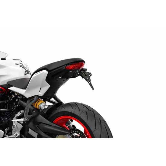 PRO Kennzeichenhalter Typ B LCS PLT HLD TYPE B PANIGALE V4