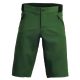 Intense Shorts SHORT INTENSE FRST GRN 38