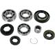 Bearing/Seal Kit BEARINGRR DIFF-RINCON Bearing/Seal Kit BEARINGRR DIFF-RINCON