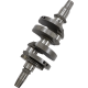 Crankshaft CRANKSHAFT POL RZR TURBO Crankshaft CRANKSHAFT POL RZR TURBO