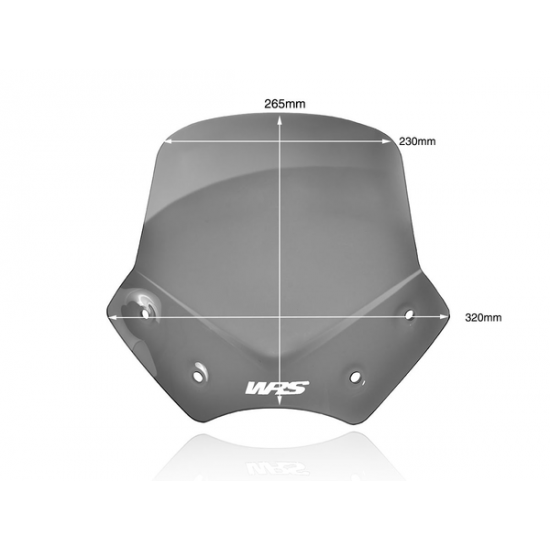 Windscreen WSCRN SPORT R1200R DSMK