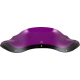 Kolor Flare™ Windschild WINDSHIELD FLARE FLTR 8" PURPLE