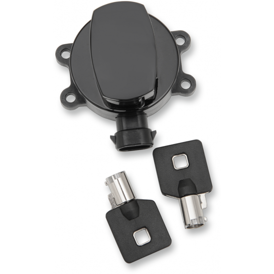 Side Hinge Ignition Switch SWITCH IGN BLK 11-ST