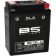 SLA Factory-Activated AGM Maintenance-Free Batteries BATTERY BS BB12AL-A2 SLA