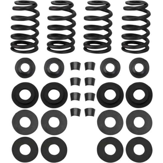 Street Performance Valve Spring Kit SPRINGS .585" 99-04TC