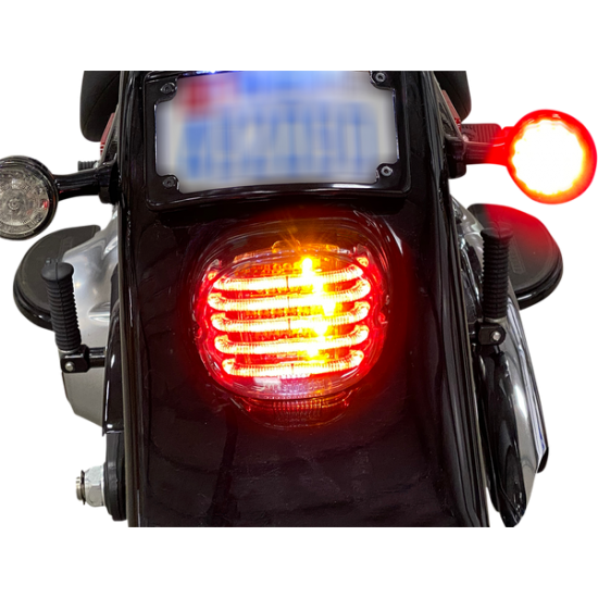 ProBEAM® Integrated Low Profile LED Taillights with Auxiliary Turn Signals TAILLIGHT W/TS BWDW SLENS