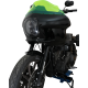 Kolor Flare™ Windshield WINDSHIELD FXRP 9 GRN