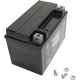 AGM Maintenance-Free Battery BATTERY YTX9 FA